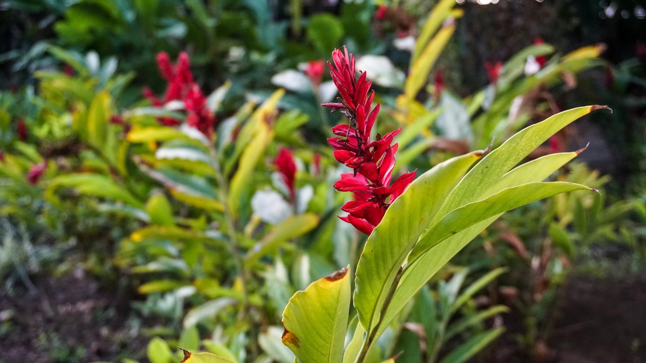 Pousada Das Garcas Saquarema Ngoại thất bức ảnh